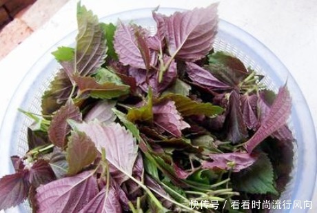 营养|8月,我家最爱的鸭肉做法,香嫩肉厚还解馋,简单好做营养更美味