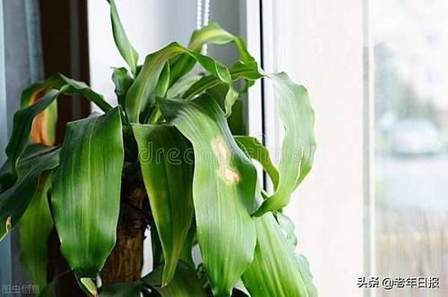 睡眠质量|为什么睡觉时举起双手?这招改善睡眠法,失眠、压抑的人都知道