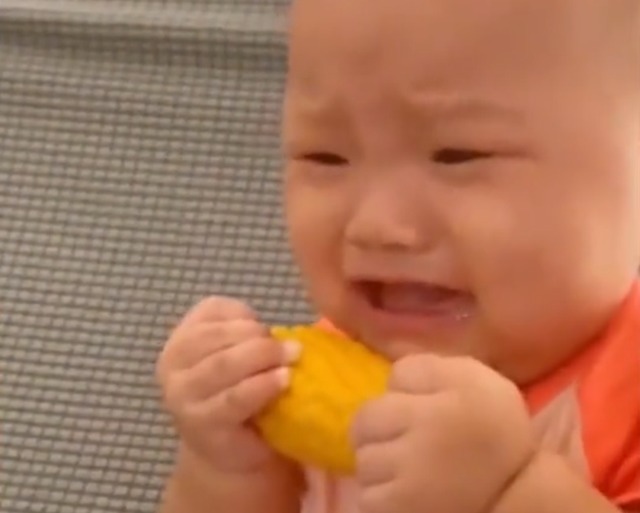 玉米|笑哭!广东一萌宝抱着玉米一顿猛“操作”,最后成功把自己整哭了