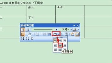 Word表格文字中部居中