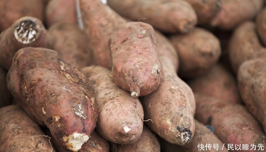 才知道,保存红薯这么简单,学会这一招,放一年不坏,还越放越甜