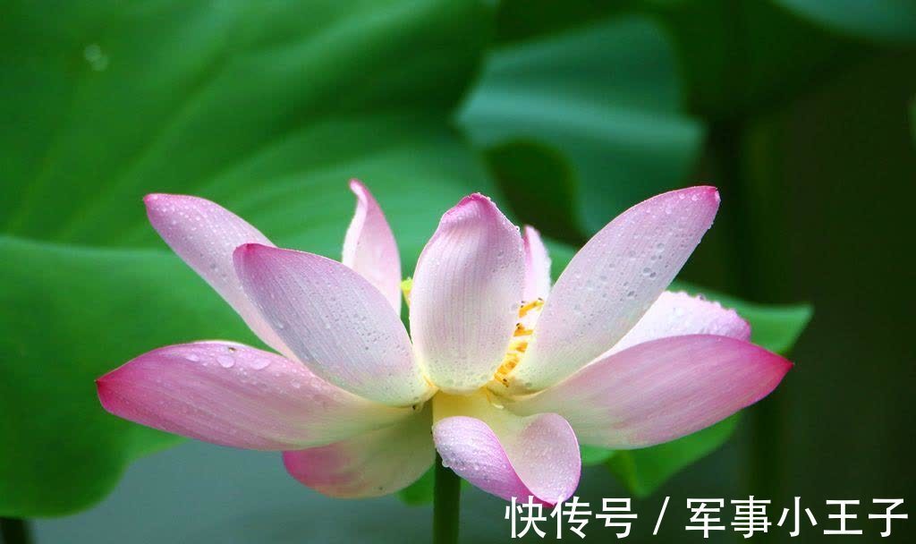 吕坤|为人处世时,有这四个“忌讳”,越早知道越好!