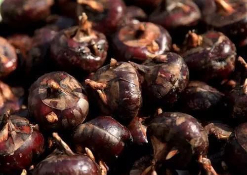 荸荠|不想被痔疮困扰?平时用泡水此几物喝,消肿活血,痔疮悄悄不见