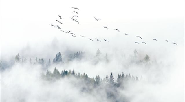 比喻|《冷眼观》中很现实的10句名言,精辟犀利,句句如金!