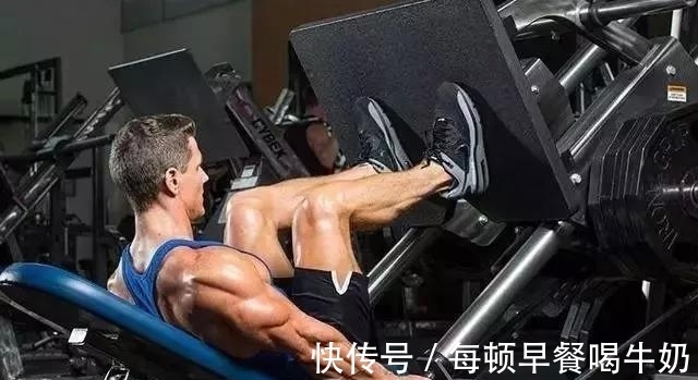 股四头肌|健身不可忽略练腿,5个动作刺激腿部肌肉,帮你提高下肢力量!