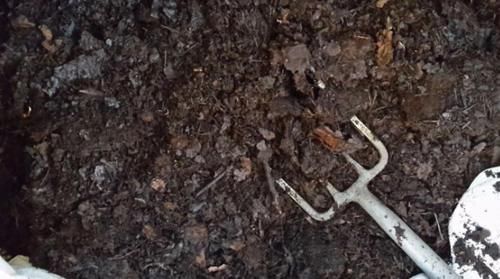 养花土用此2样，想效果好就得抓住这些“处理重点”