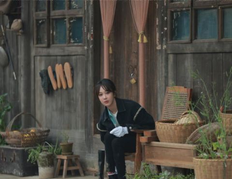 杨紫|《向往5》小算盘落空，杨紫离开节目后，老友记播放次数直线下降