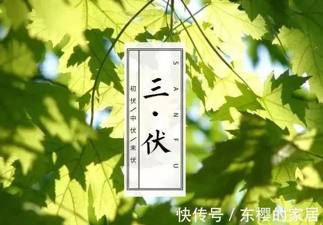 夏天|进入中伏,饮食要清淡,多吃“3酸4钾”,补充消耗,舒服过夏天