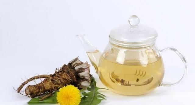 高二女生,因一壶蒲公英水,被送入医院,蒲公英泡水,有4大禁忌