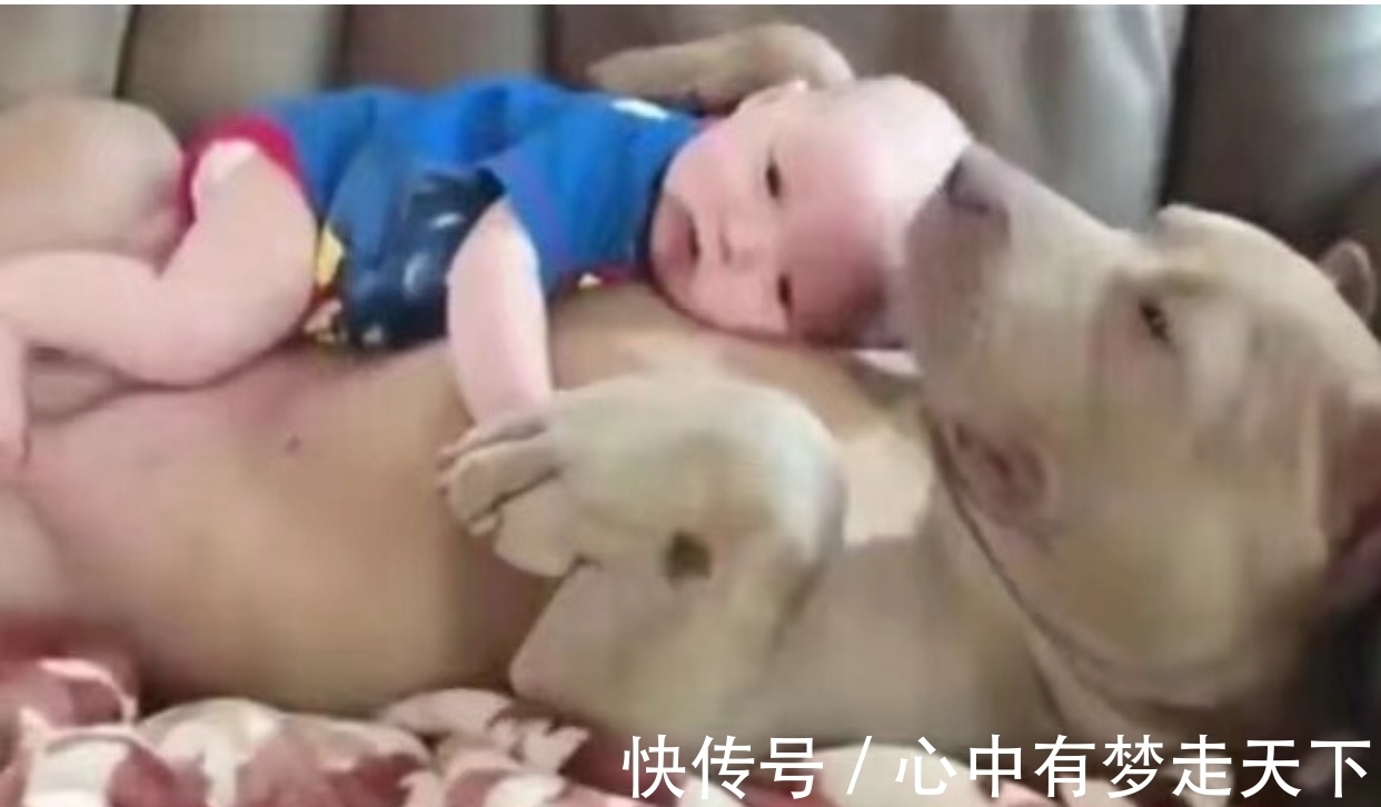 宝宝|夫妻俩一觉醒来发现宝宝不见了,看向客厅中笑了