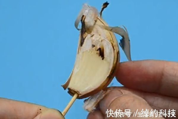 打火机|心脏不好的人,1味干果可劲吃,软化血管,护肝脏,提高免疫力!