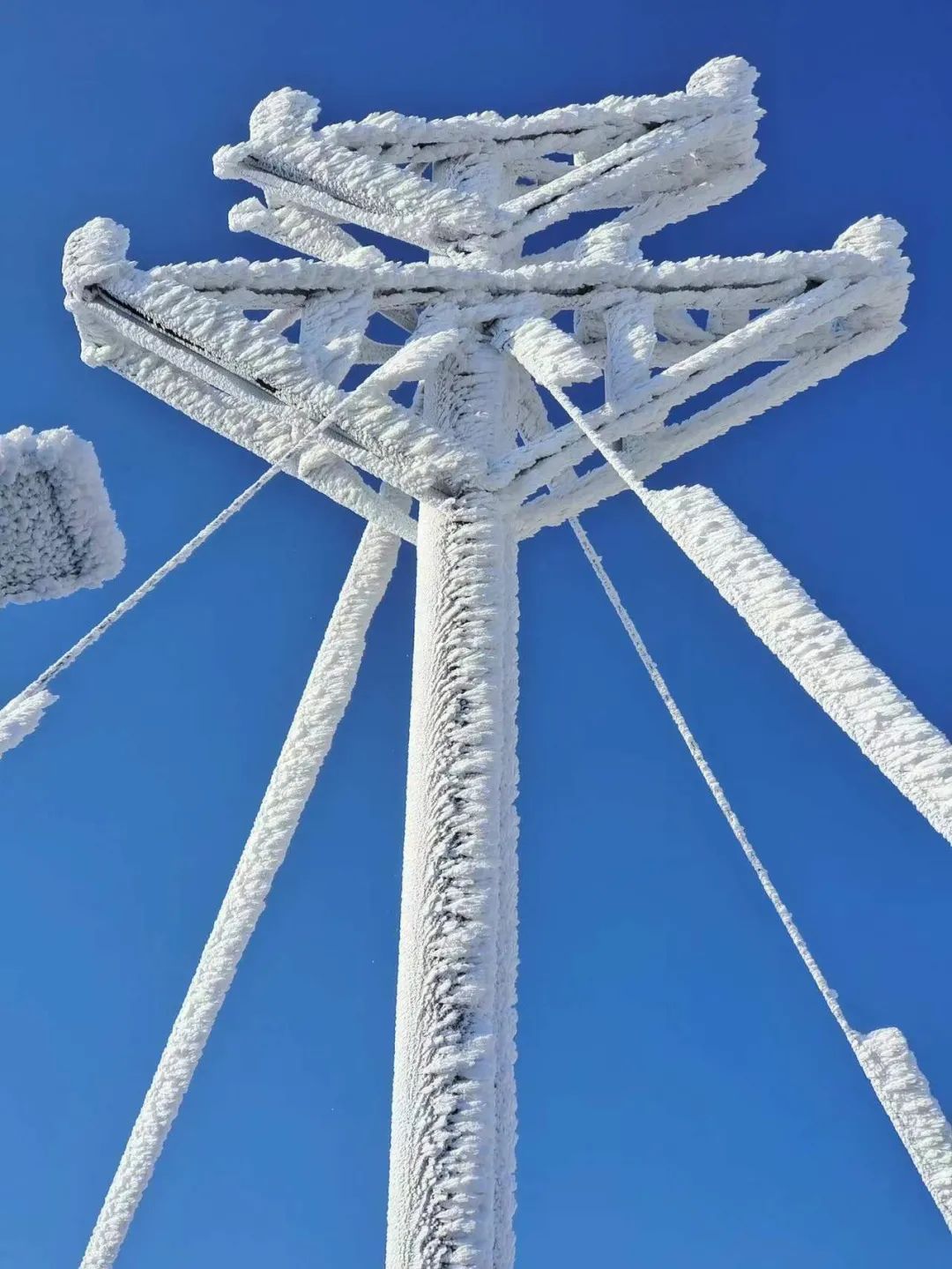 雪景|太美了！台州最新雪景！括苍山跌至-10℃，再现云海奇观（多图多视频）