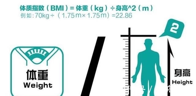 体重|基础代谢率、BMI、体脂肪率、肌肉量、体水分率,这些都是什么?