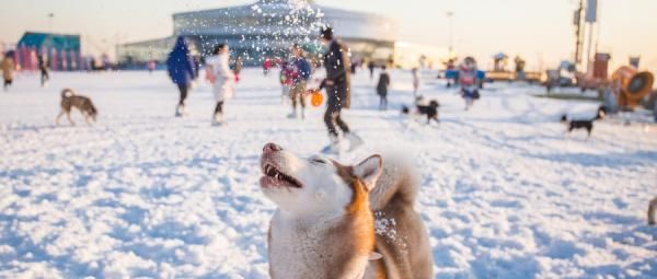 活动|全国冰雪旅游宣传推广活动系列4：迭代升级的冰雪小镇，从滑雪运动到休闲度假