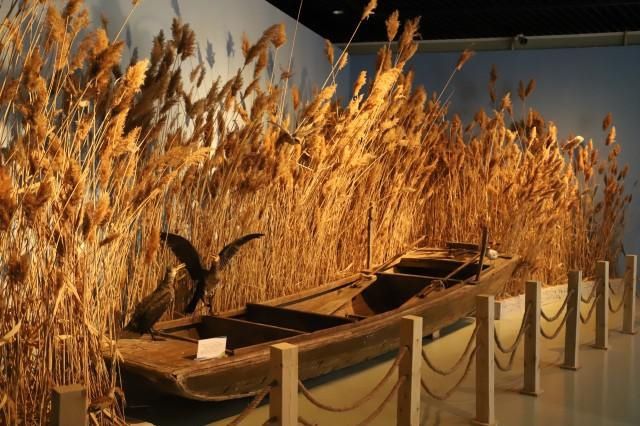  乌梁素海|“大美乌梁素海·鸟类生态艺术作品展”18日在内蒙古自然博物馆开展