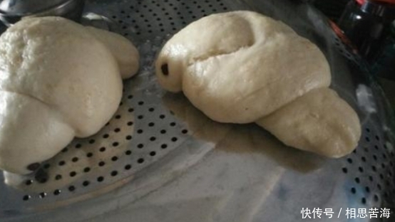 发酵|吃过白馒头,但你吃过小白鸽馒头吗?小编教你怎么制作!