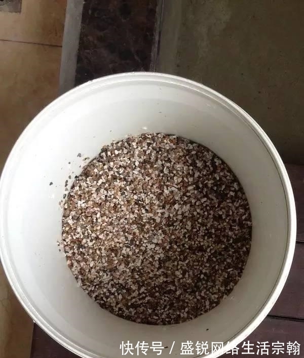 防水|老公在阳台做了个鱼池, 发到业主群里, 楼下直接找上门了!