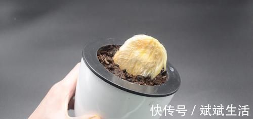 芒果核|芒果核扔掉可惜了,这个用途懂的人还不多,早点知道就好了