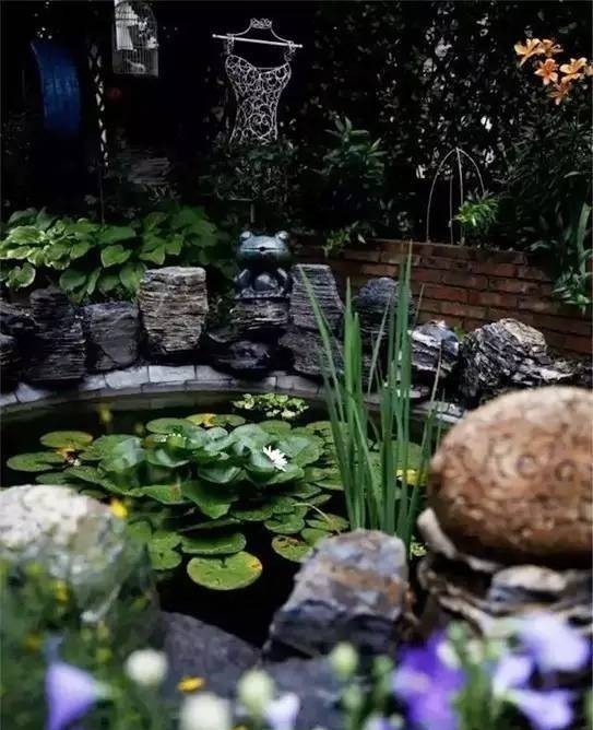 花园|7年前买了栋花园别墅,在600㎡的院子里,创造了一片“城市绿洲”