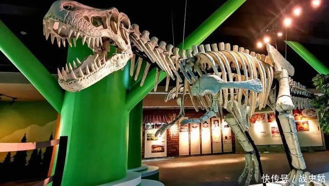 探秘 广东饶平青岚地质博物馆,探秘地质科学的宝藏地