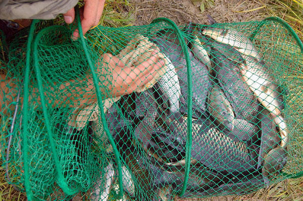 野钓一般钓多深的水容易被大家忽视的问题