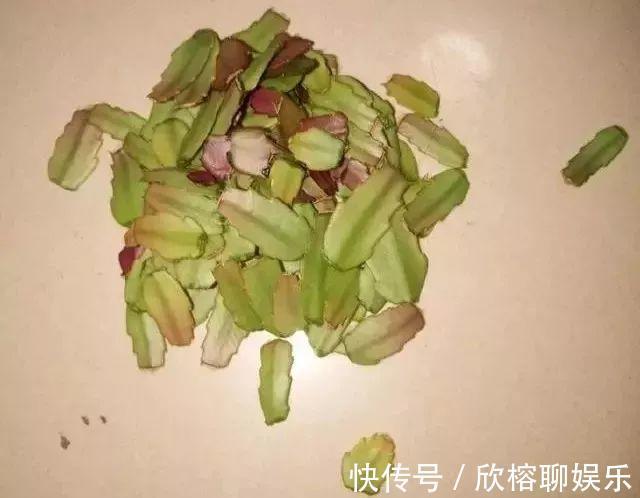 蓝雪花|9月给天竺葵剪个短发，过冬前就能窜叶子，明年春天开成大花球！