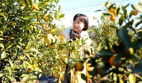 沙坝仔村没坝，但有神农，是城里人向往的村落