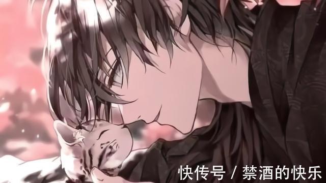 |娱乐圈小说:乐观向上VS欢脱搞笑,欢脱爆笑小甜饼,书荒必备