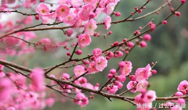 临事|临事须替别人想,论人先将自己想