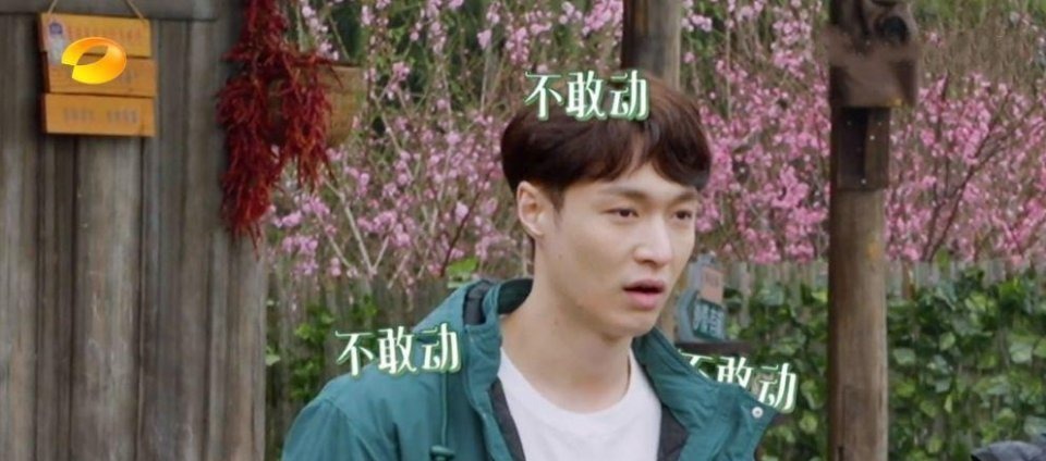 综艺收视率榜：《向往的生活》第六《奔跑吧》未上榜