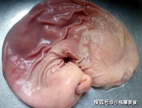 猪肚别只会加面粉洗，大厨表示多加1招，猪肚干净香脆还不腥