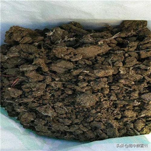 怎样配出透气透水的养花土?