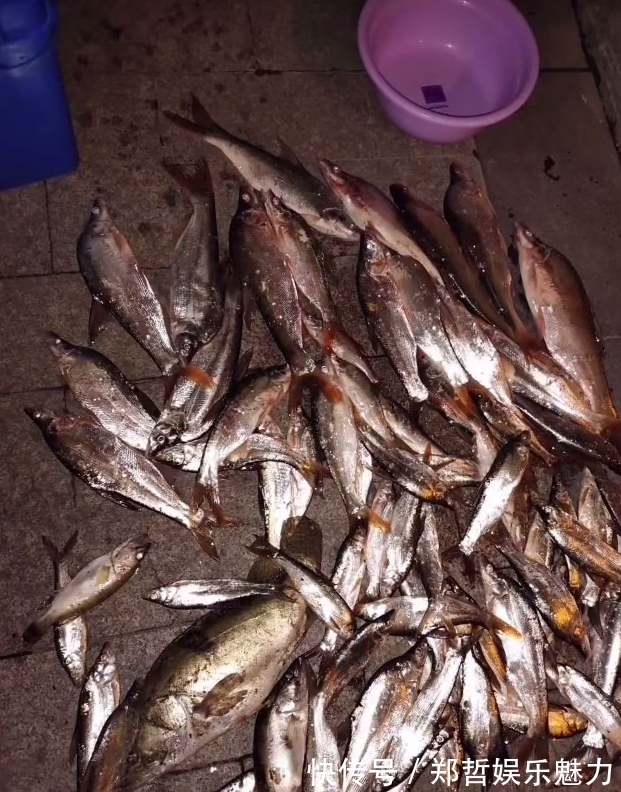 钓鱼人|冤不冤?江西钓鱼人网上炫耀渔获,被网友一致吐槽