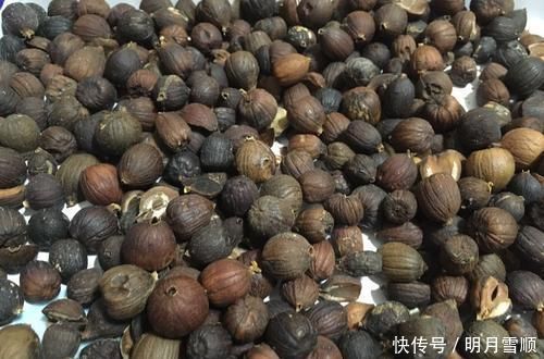 10年才开始结果，人类最早的食物，磨成粉是美味，吃过吗？