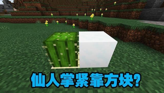 qt:gamepop|我的世界：MCPE的一些冷知识，老玩家也不会知道