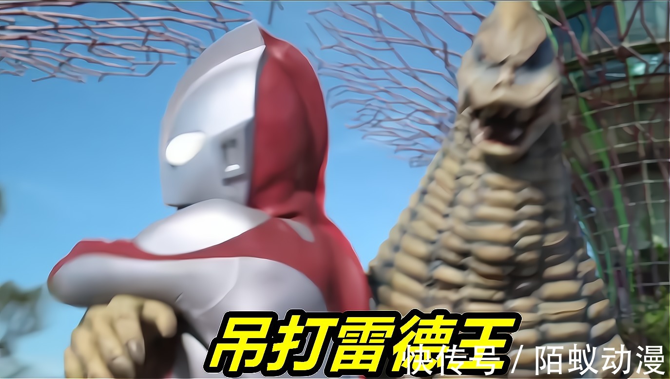 奥特曼|新加坡奥特曼第一话:雷德王被“鞭尸”,初代玩过肩摔,结花女神回归