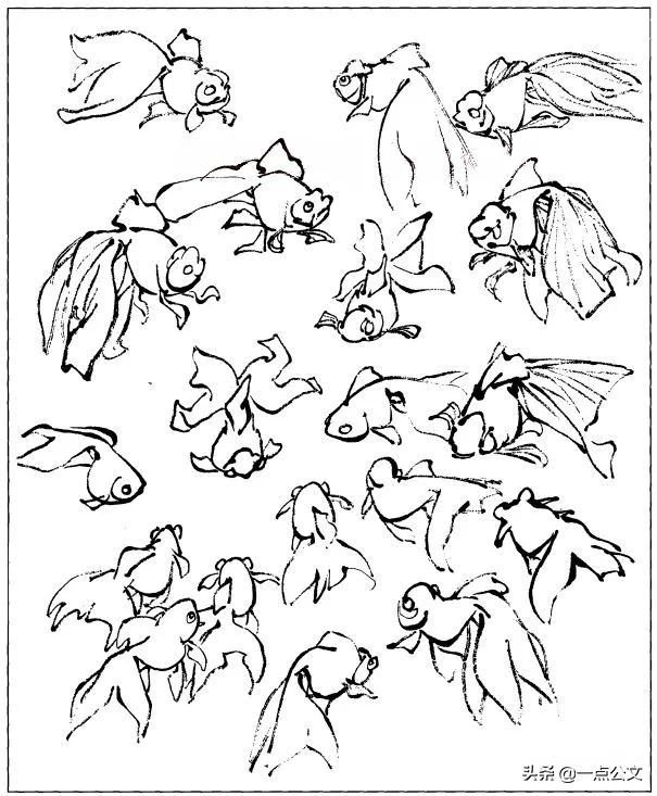 曙红|写意金鱼的画法解析