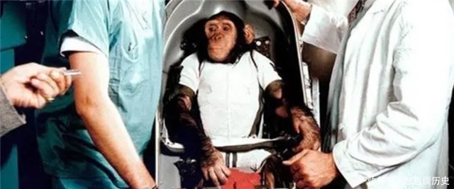 59年前，被美国送上太空的黑猩猩“宇航员”，最后结局如何？