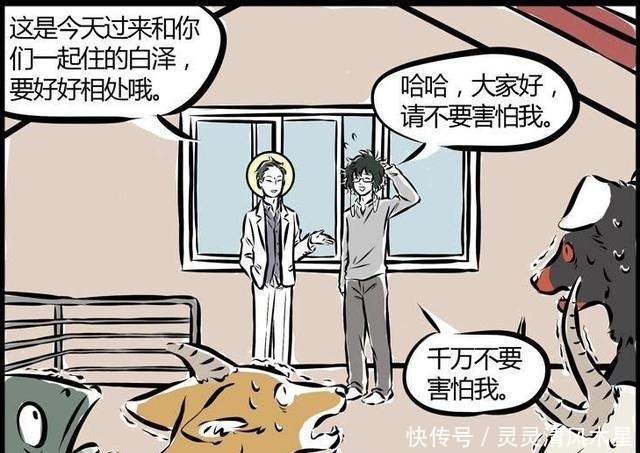 动漫|非人哉白泽落魄,被观音大士收留,却吓跑了奇珍异兽