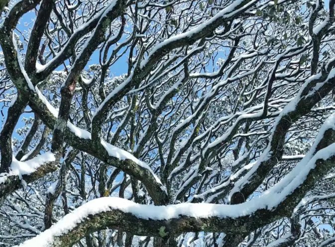 雾凇|绝了！天台冬季美景，宛如冰雪世界！一天看8小时都不够!