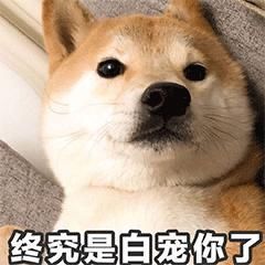 窒息|这些颜值在线的书,每一本都美到让人窒息