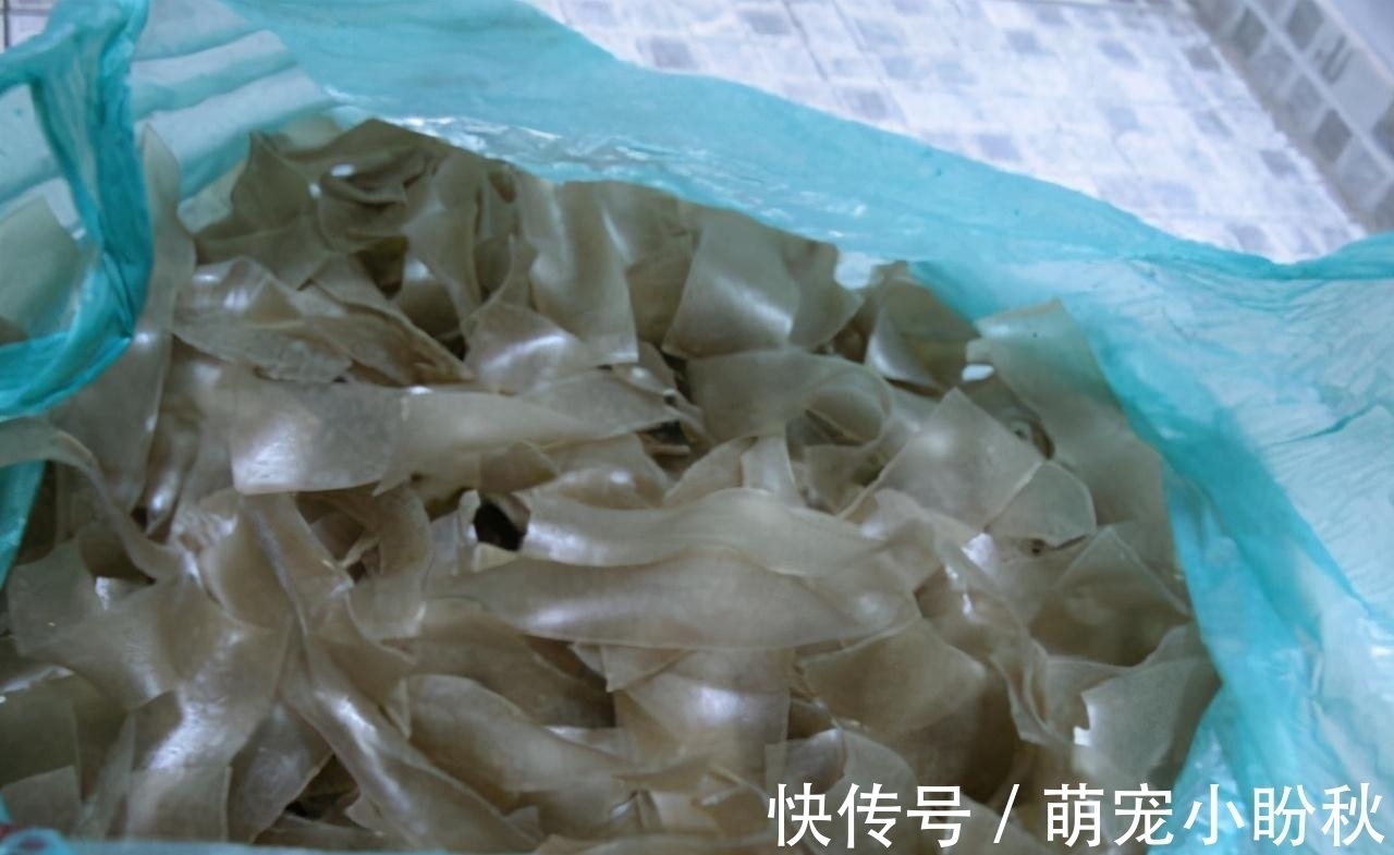 婆婆从家乡寄来的土特产,老妈却瞧不起,邻居:你可真不识货!