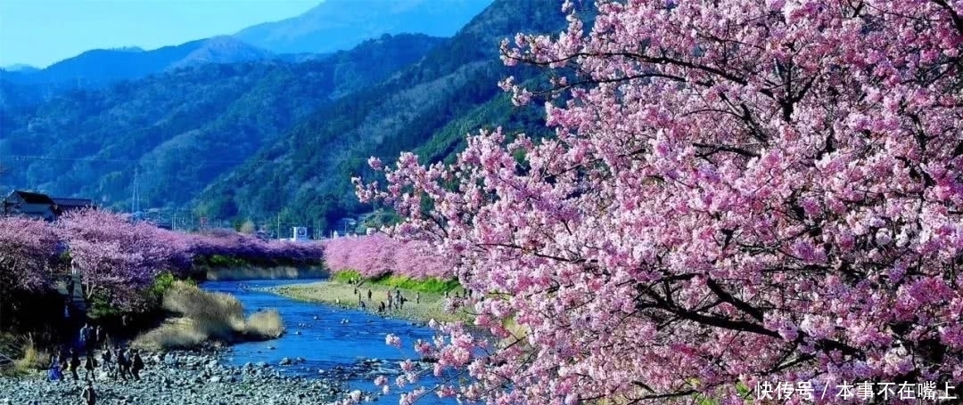 王八蛋|被误传多年的俗语:终于知道“王八蛋”是怎么来的了!