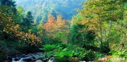 天意|王羲之的后代怎么样了?有一支竟然流落到这个地方,难道是天意?