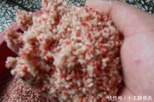 渔获|你钓鱼是怎样打窝的要是打窝的方法不正确,打再多也钓不上鱼