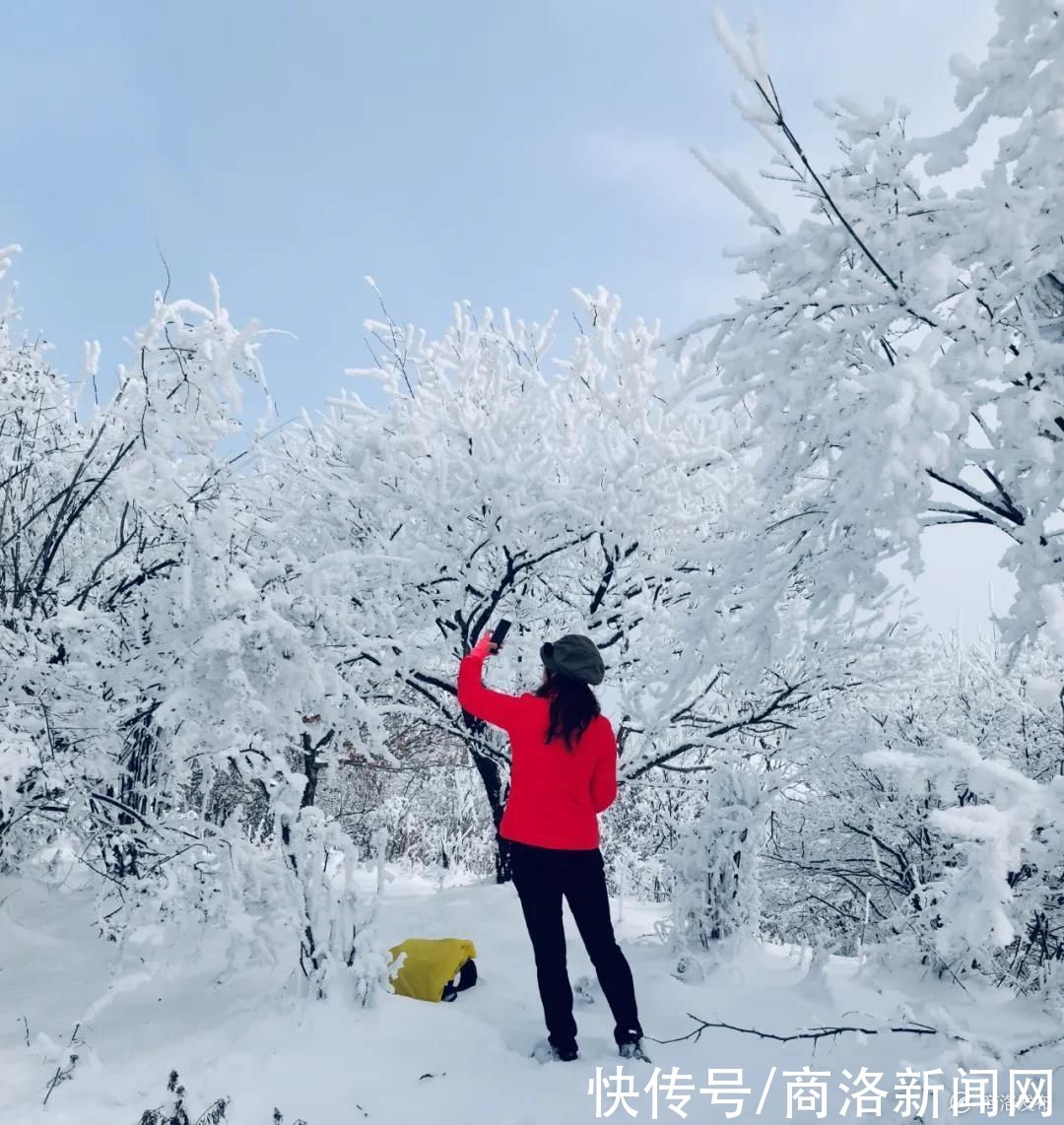 秦王|美！商州秦王山现冰雪树挂景观