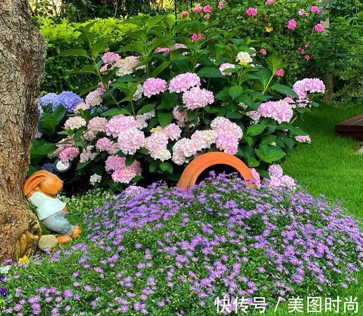 下午茶|一楼430㎡大院子,用1年半建成花园,网友:你这是建了个公园吧?