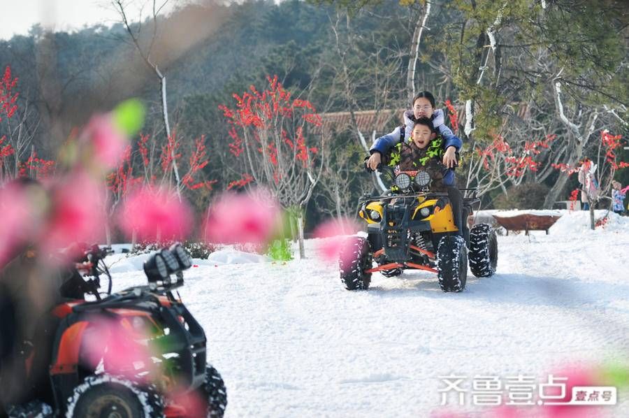 跑马岭|元旦小长假，跑马岭玩雪其乐无穷