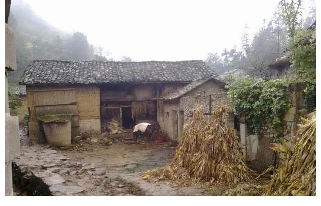 農(nóng)村小伙阮飛剛，如何從無(wú)數(shù)人中脫穎而出，成為網(wǎng)絡(luò)紅人？