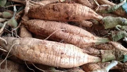 卵巢早衰|女性常吃4大碱性食物，给卵巢来个“大扫除”，子宫越来越健康